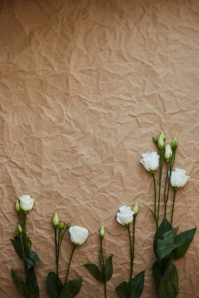 Beyaz Eustoma çiçeklerinin bileşimi eşit aralıklarla buruşmuş kağıdın dokusuna sahip açık kahverengi bir arkaplanda düzenlenmiştir.