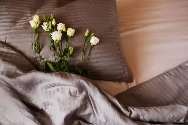 Bir yastığın üzerinde uzanan Eustoma çiçekleri, hafif bir battaniye ile kaplanmış, pembe ve mor tonlarda.