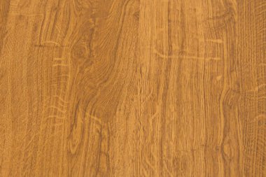 Kocaman halkaları olan ahşap bir tahta. Vektör ahşap doku arkaplanı