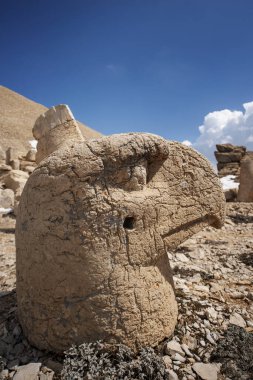 Kartal kafası tanrıların dağından kırmızı kumtaşıyla yontulmuş.