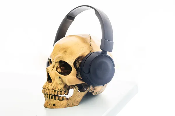 funny golden skull listening to sunlit music