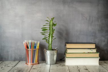 Okuyucunun hayatı bir kova kalem, kitap ve genç bir bitki trigona ile dolu.