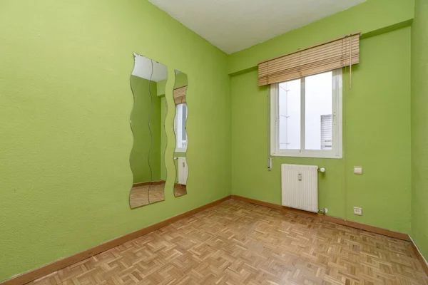 Wohn Wohnzimmer Mit Schlicht Grün Gestrichenen Wänden Spiegeln Und Stahlweißem — Stockfoto
