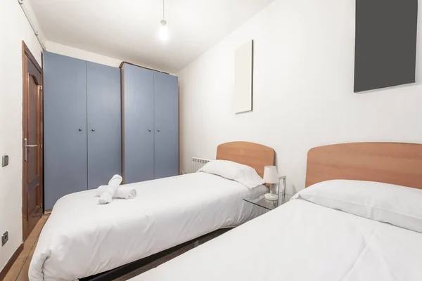Bedroom Twin Beds Light Wood Headboards White Duvets Twin Gray — стоковое фото