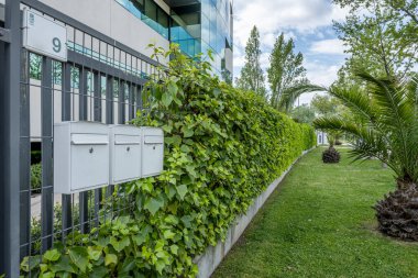 Terrace of an office building full of plants on a sunny day with some clouds