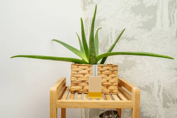Aloe Pflanze Weidenkorb Auf Einem Holzregal Aus Bambus — Stockfoto