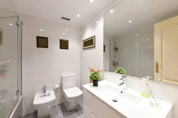 White Tones Frameless Mirror Wall White Porcelain Sanitary Ware Shower — Stock Photo, Image