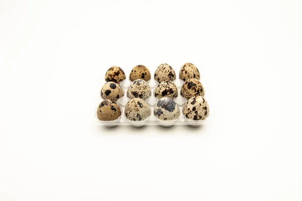 Small Quail Eggs Transparent Plastic Container White Background — Stock Photo, Image