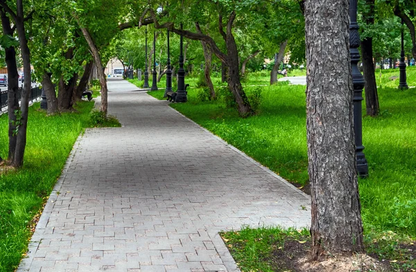 Şehir parkında dinlenmek için bankların olduğu bir ara sokak. Yaz günü.