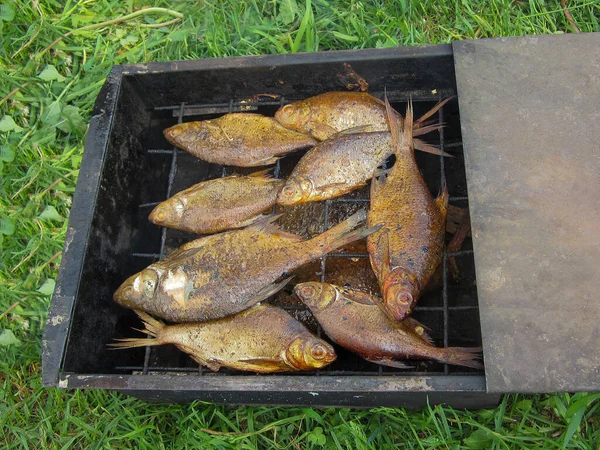 Izgara balık ızgaranın üzerinde yeşil otların olduğu bir arka planda yatıyor. Yukarıdan bak. Düz Yatay