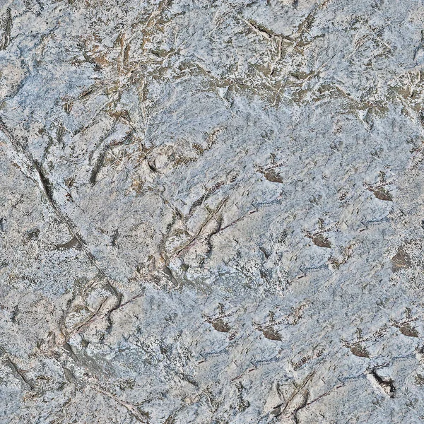 Küflü eski gri bir taş. Kusursuz bir doku. Arkaplan