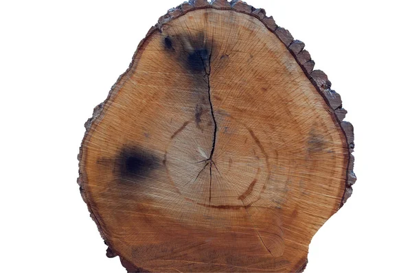 Çatlaklı, çapraz kesitli büyük bir kütük. Ahşap arka plan. İzole edilmiş