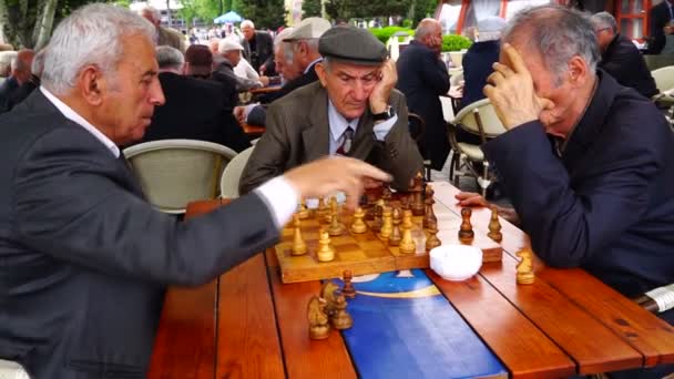 Пенсионеры играют в шахматы в парке — стоковое видео