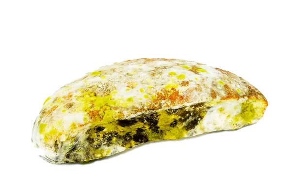 Penész az ételen. Egy modul bolyhos spórákhoz kenyéren. Egy darab penészes kenyér fehér alapon. — Stock Fotó