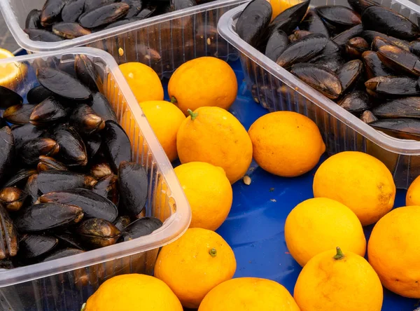 Mussels Shell Lemon Blue Iron Background — Stock Photo, Image