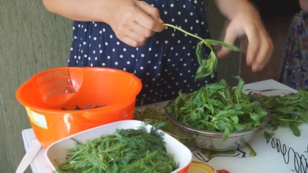 Donna in cucina preparare una fresca insalata vegetariana vegetale — Video Stock