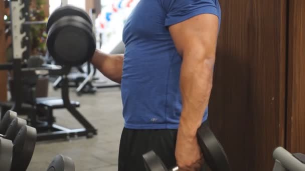 Jeune Homme Secoue Ses Biceps Dans Les Haltères Gymnase — Video