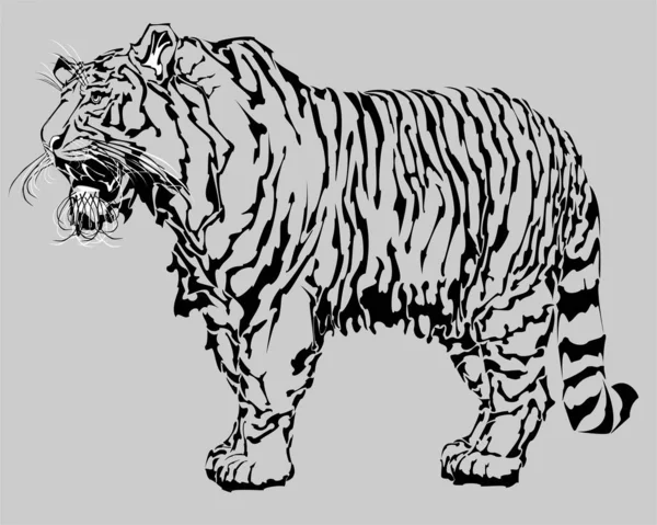 Tygrys Stojący Otwartym Widokiem Usta — Wektor stockowy