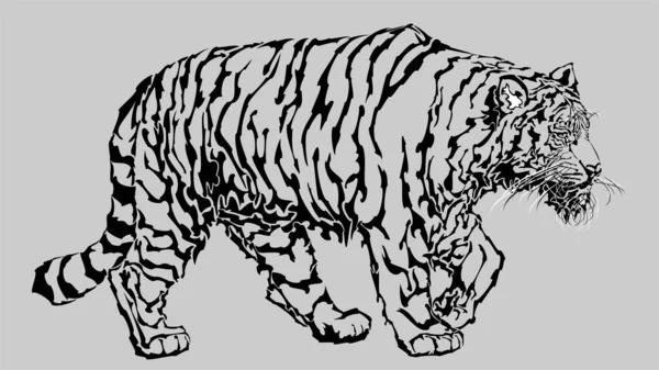 Kaplan yan görünümü