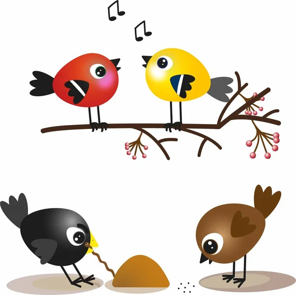 Kuşlar. Küçük kuşların bir dizi görüntüsü. Titmouse ve boğa ispinozu bir kürek dalında. Bir serçe tahıl gagalar, bir karga yerden bir solucan çıkarır..