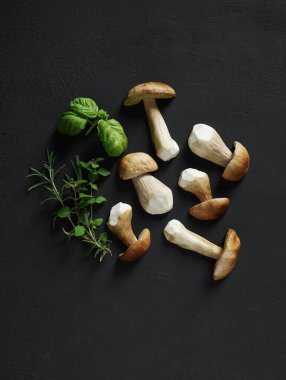 Yenilebilir boletus edulis, koyu arkaplanlı porcino mantarlar, minimal kompozisyon. Üst Manzara. Sonbahar sakin bir hayat.