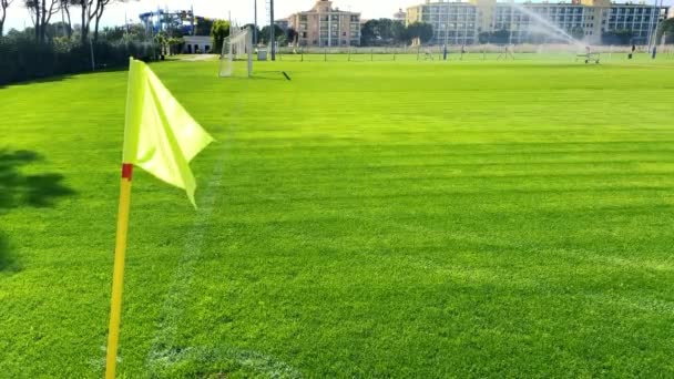 Campo Fútbol Con Asta Bandera Esquina Bandera Ondeando Viento Día — Vídeos de Stock