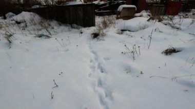 Abandoned Russian industrial area. Old factory, bare concrete in winter, non-working mechanisms, abandoned factory