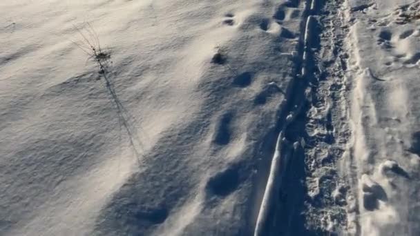 雪の森の中で道を歩く 雪の中の靴とパンツ 寒い天候の深い雪の中のステップ — ストック動画