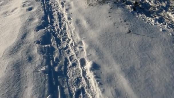 Treading Caminho Uma Floresta Nevada Sapatos Calças Neve Passos Neve — Vídeo de Stock