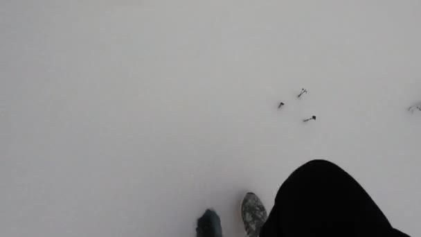雪の森の中で道を歩く 雪の中の靴とパンツ 寒い天候の深い雪の中のステップ — ストック動画