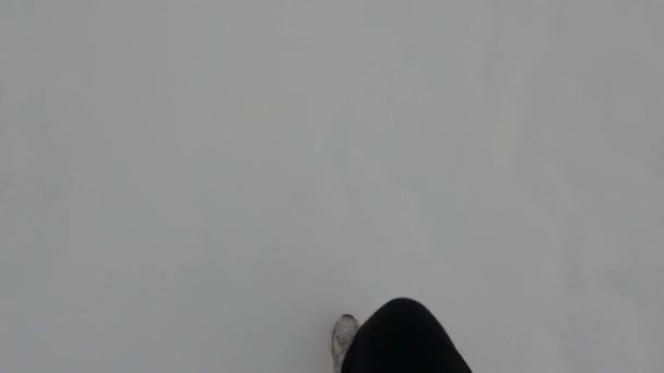 Havas Erdőben Cipő Nadrág Hóban Lépés Mély Hóban Hideg Időben — Stock videók