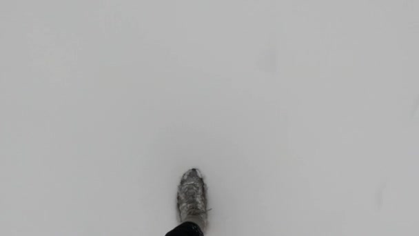 Проходить Шлях Засніженому Лісі Взуття Штани Снігу Сходи Глибокому Снігу — стокове відео
