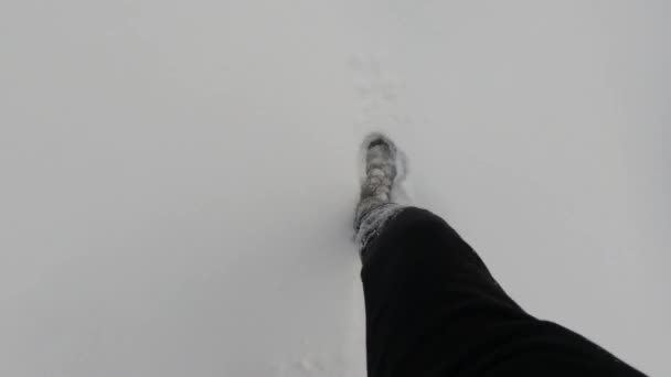 Šlapat Pěšině Zasněženém Lese Boty Kalhoty Sněhu Kroky Hlubokém Sněhu — Stock video