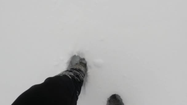 Een Pad Onderwijzen Een Besneeuwd Bos Schoenen Broeken Sneeuw Stappen — Stockvideo