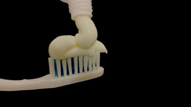 洁白的牙膏涂在黑色背景的牙刷上 — 图库视频影像