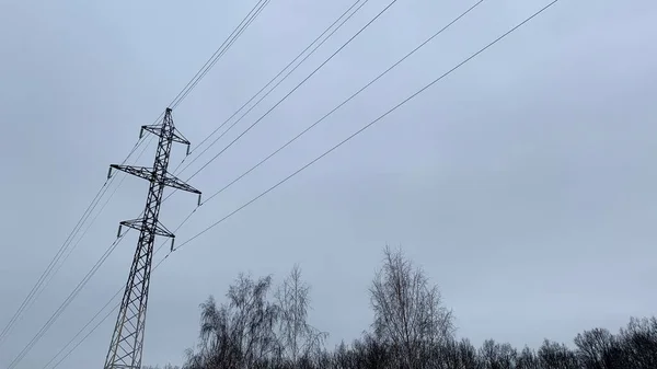 Линии Электропередач Металлическими Башнями Вдоль Зимнего Леса Снегом — стоковое фото