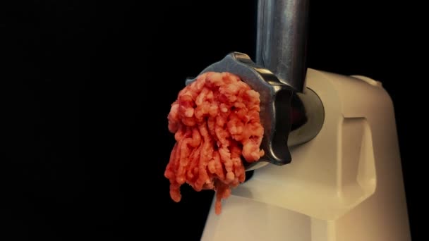 Picadora Carne Eléctrica Muele Trozos Cebolla Hierbas Carne Para Obtener — Vídeo de stock