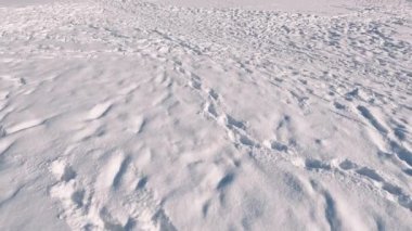 Karlı bir ormanda bir patikada yürümek. Kar altında ayakkabılar ve pantolonlar, soğuk havada derin karda adımlar.