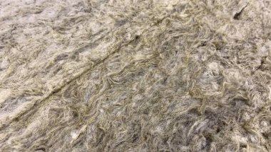 Paketli cam yünü, yünlü yalıtım, duvar yalıtımı için strafor.