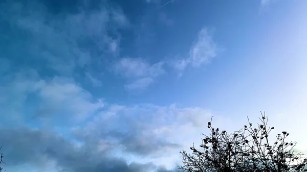 Tramonto Precoce Nel Freddo Cielo Blu Invernale Con Alberi Senza — Foto Stock