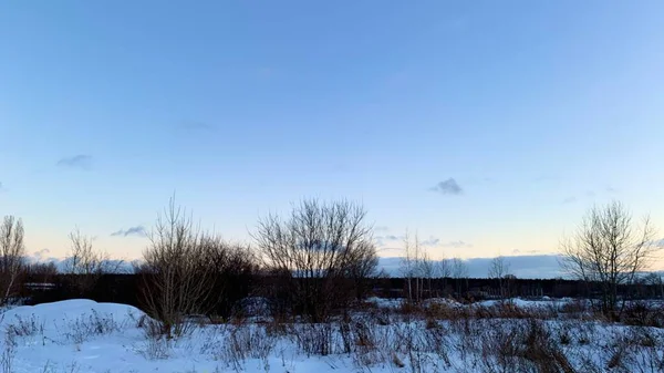Pôr Sol Cedo Tempo Frio Céu Azul Inverno Com Árvores — Fotografia de Stock