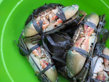 Canlı halatlarla bağlanmış yengeçlerin detayları