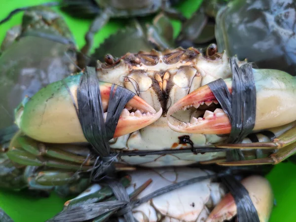 Details Sea Crabs Tied Live Ropes — Stock Photo, Image