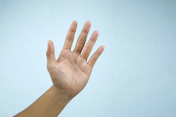 Χειρονομία Ενηλίκων Χέρι Γαλάζιο Φόντο — Φωτογραφία Αρχείου