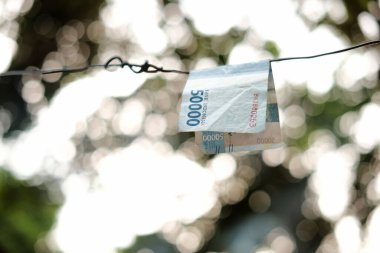 50 bin Endonezya rupia banknotunda asılı.