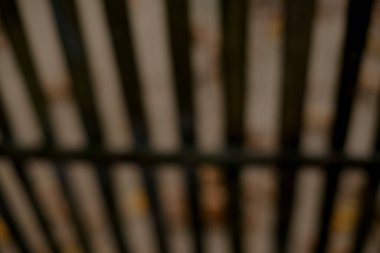 Yumuşak ışık ile bulanık arkaplan