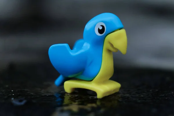 Miniaturvogel Isoliert Auf Verschwommenem Hintergrund — Stockfoto