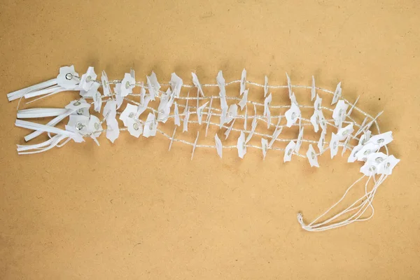 Endonezya 'daki küçük kızlar için Lampung geleneksel kıyafet aksesuarları