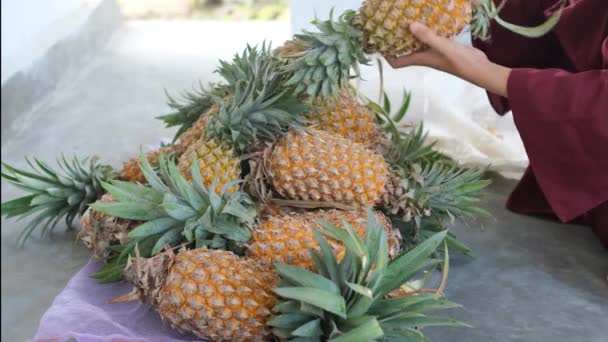 妇女在水果市场上选择新鲜的菠萝 菠萝在女人的手里 — 图库视频影像