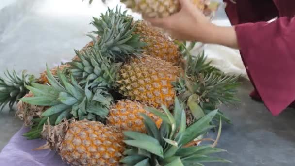 女性は果物市場で新鮮なパイナップルを選択します 女性の手にパイナップル — ストック動画